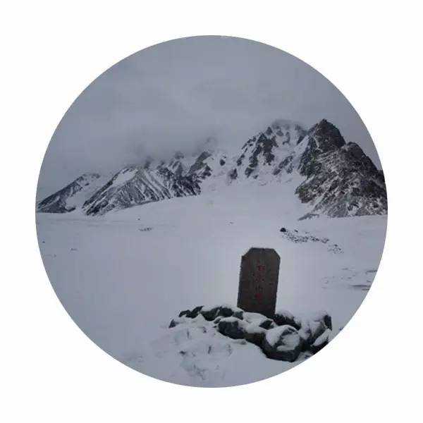 三一五解读,三一五寓意