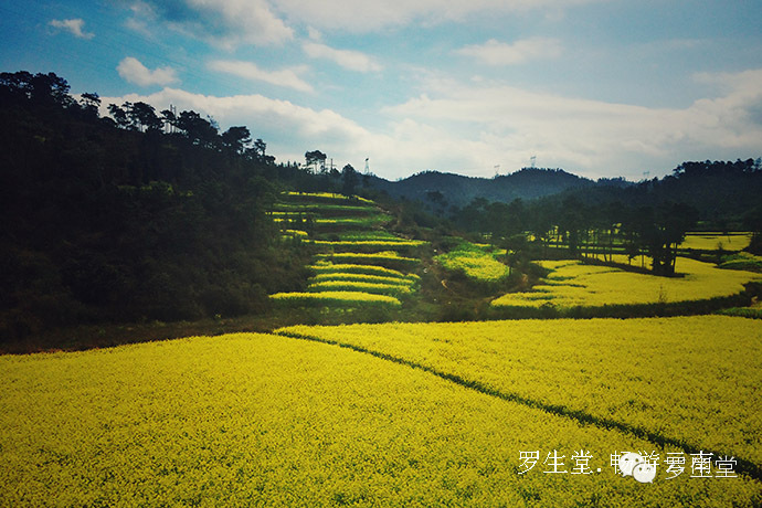 云南旅游攻略必去吃的美食有哪些,云南吃些什么特色美食