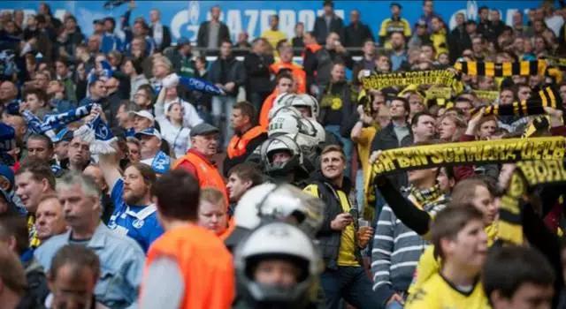 猛虎嗅蔷薇读后感,猛虎嗅蔷薇原文