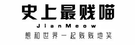 全网最让人羡慕的博主,盘点全网最招人羡慕嫉妒恨的博主