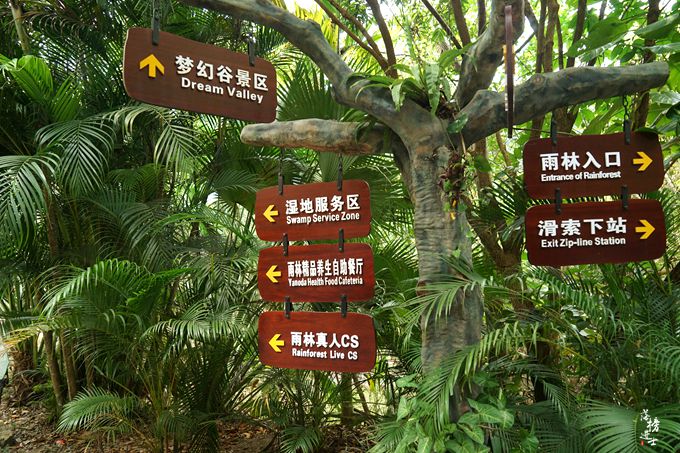 呀诺达，拾起我童年记忆的热带雨林