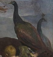 银河的起源希腊神话,银河的起源小说