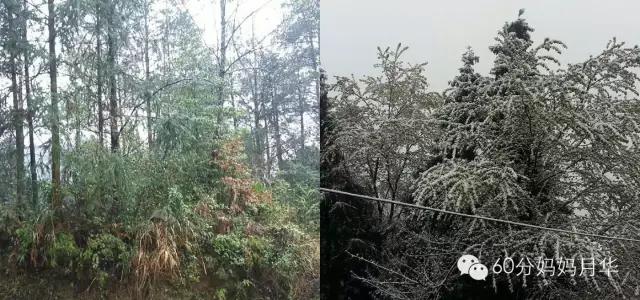 冷空气后宝宝流鼻涕,这几天天气冷了就感冒了