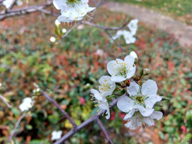 红米note3的拍照方法,红米note3不亮