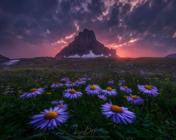 姊︿腑绉樺,姊﹂噷绉樺