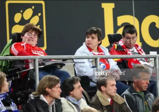 猛虎嗅蔷薇读后感,猛虎嗅蔷薇原文