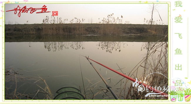 2016之我爱飞鱼觅得好钓点