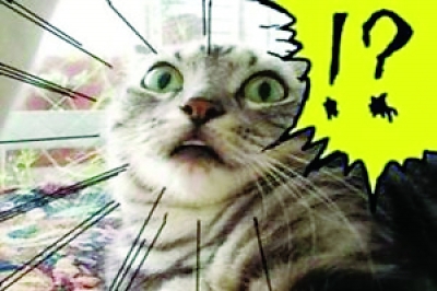 保湿乳液使用方法,保湿乳液的用法