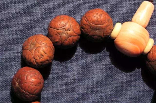 凤眼兄弟,凤眼菩提的兄弟姐妹们都是谁