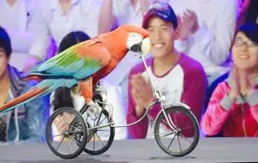 1亩地需要多少投资,100亩地价值多少钱