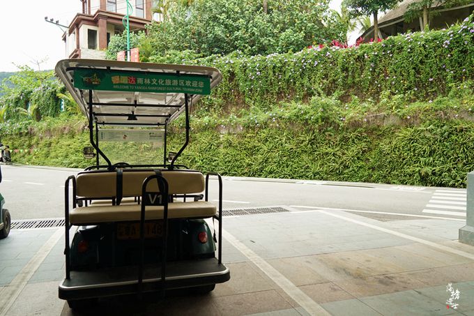 呀诺达，拾起我童年记忆的热带雨林