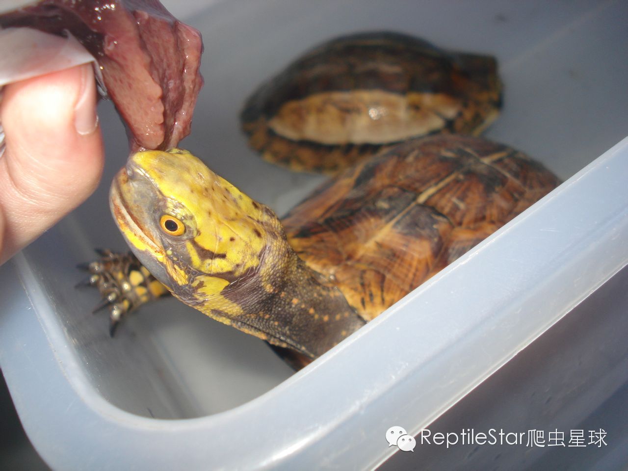 流水账解说dota,流水账跟台账优缺点