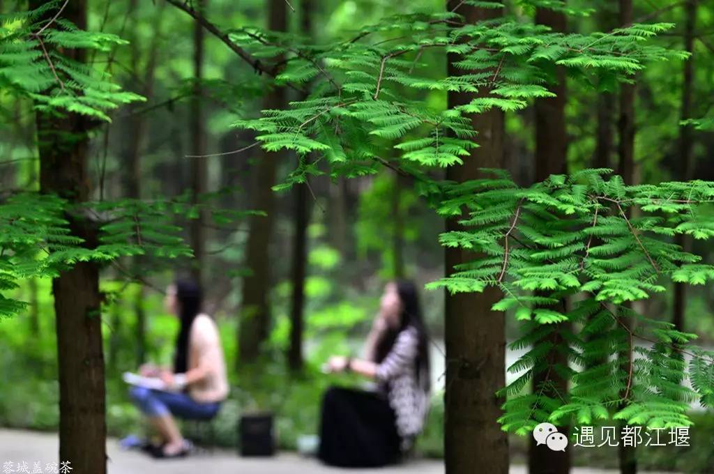 走去新丰骑车赏红枫泡温泉品美食,走温江田园去观赏美好生活