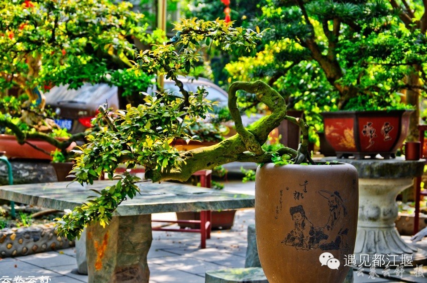 走去新丰骑车赏红枫泡温泉品美食,走温江田园去观赏美好生活