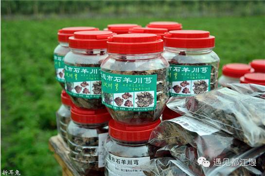 走去新丰骑车赏红枫泡温泉品美食,走温江田园去观赏美好生活