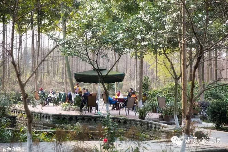 走去新丰骑车赏红枫泡温泉品美食,走温江田园去观赏美好生活