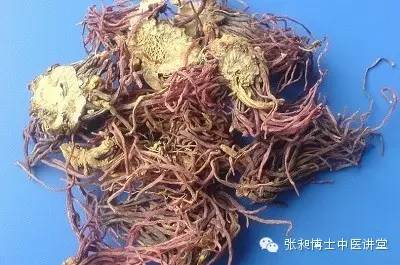 紫菀能祛湿化痰吗,紫菀与款冬花配伍温肺化痰止咳