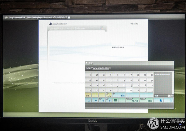 老树发新芽完整视频,老树发新枝技术视频