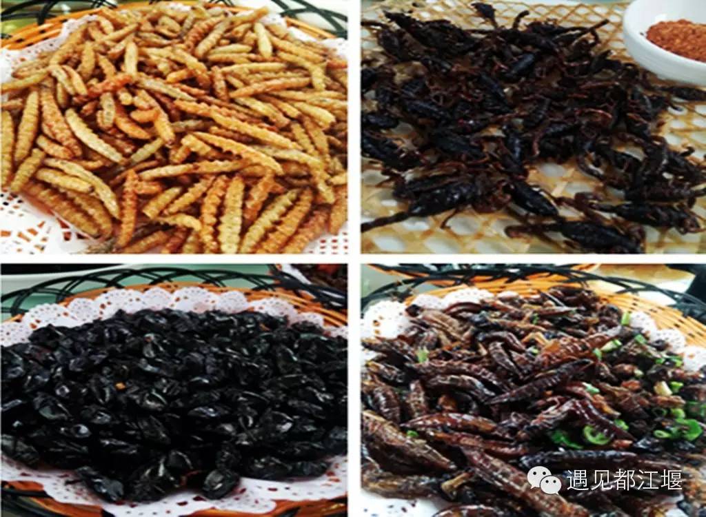 走去新丰骑车赏红枫泡温泉品美食,走温江田园去观赏美好生活