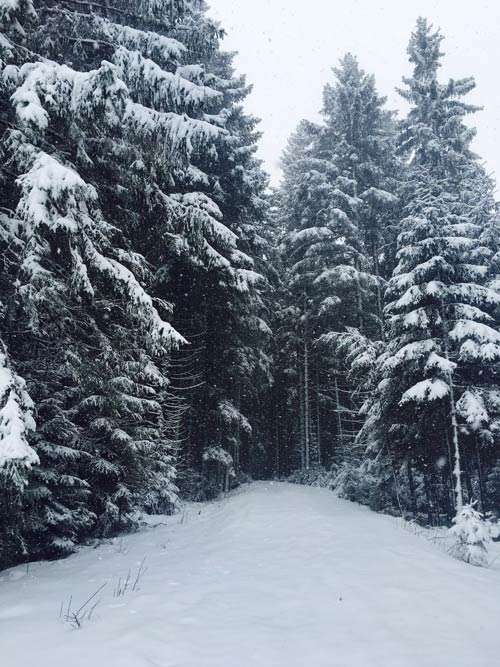 那味道德国经典黑森林蛋糕,吃黑森林蛋糕完整版
