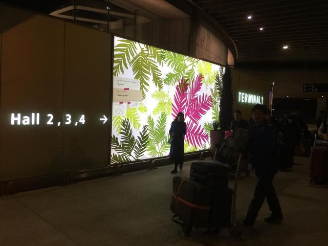 法意瑞亲子游旅行团,意瑞法三国游玩攻略