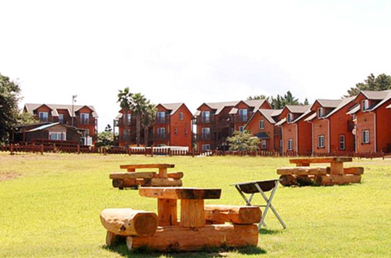 济州岛十大人气酒店,济州岛最美海景酒店