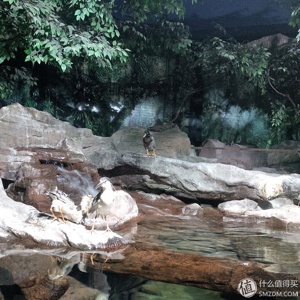 黑莓q10翻新,黑莓q10还有全新的吗