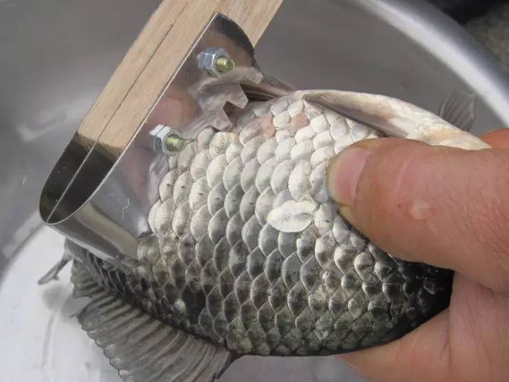 癌细胞的克星食物,癌的克星是什么能杀癌细胞