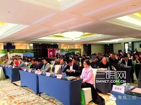 三明坐飞机旅游2-3天推荐地方,一张可以去所有地方的机票