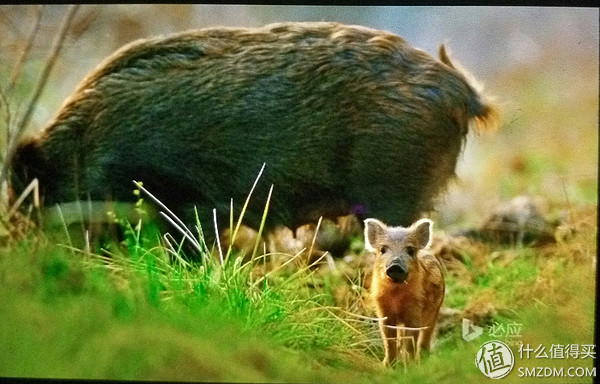 黑莓q10翻新,黑莓q10还有全新的吗