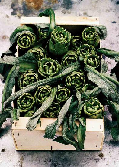 震撼旅程,惊艳之旅大结局