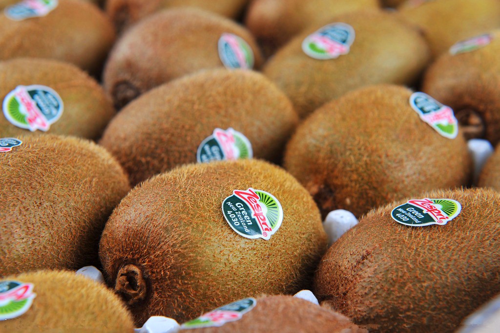 智利车厘子真假鉴别方法,智利车厘子和新西兰车厘子区别