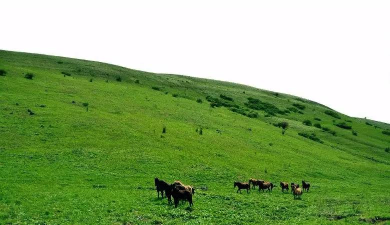 2022免重庆门票景区详细名单公布,重庆免费18个景区