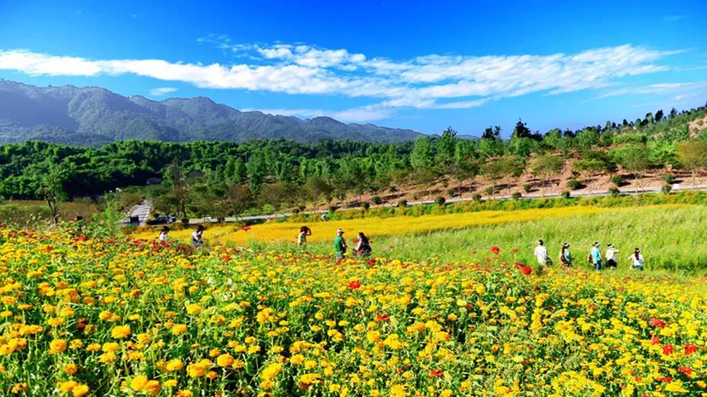 2022免重庆门票景区详细名单公布,重庆免费18个景区