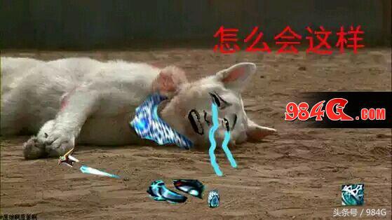 dnf还能开出复活币吗,dnf可以给队友复活币吗