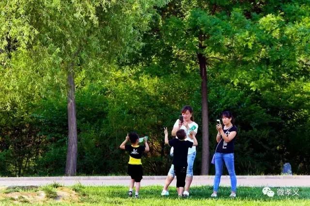 您的假期余额已不足请返程充值,您的寒假余额已不足请及时充值