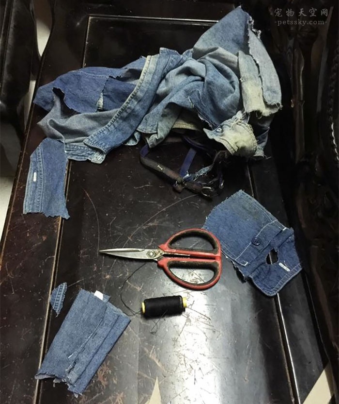 用旧衣服给幼狗做衣服教程,用旧衣服帮狗做狗窝