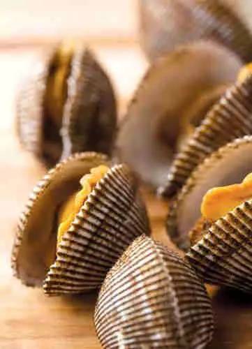 几种常见的贝类你都分不清，还敢说自己是吃货？（文末附食谱）