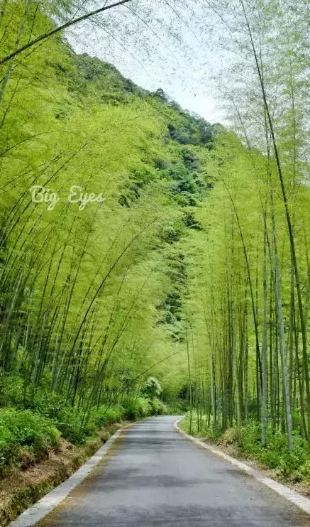 四川有没有凉快的地方,四川很凉快吗