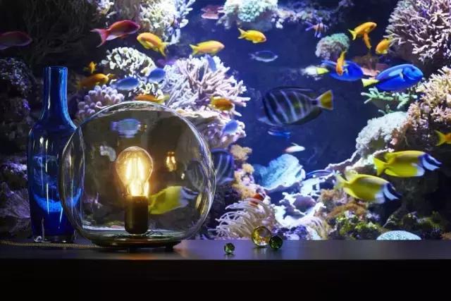 宜家2018年《家居指南》出炉了，700多款新品大揭秘