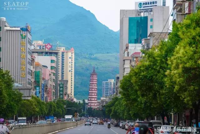 我读书多不会骗你,我读书多不骗你表情包