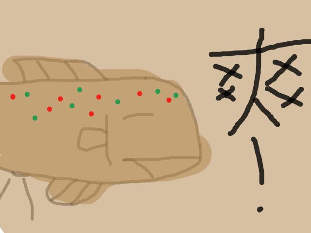 解决臭屁的最好方法是什么,怎样才能知道放屁臭不臭