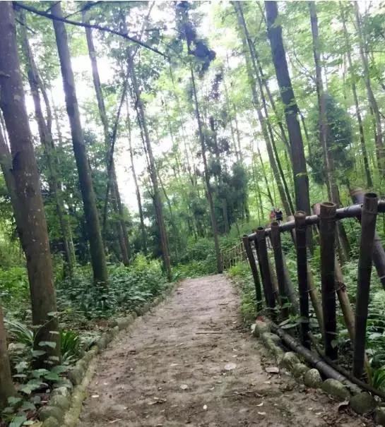 四川有没有凉快的地方,四川很凉快吗