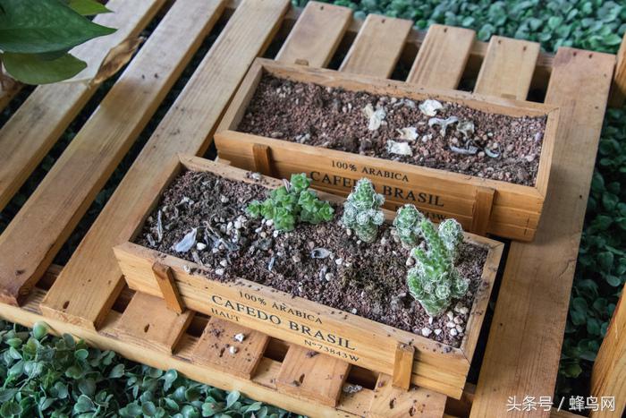 腾龙2.8恒定变焦镜头,腾龙24-70mm3.5手动镜头