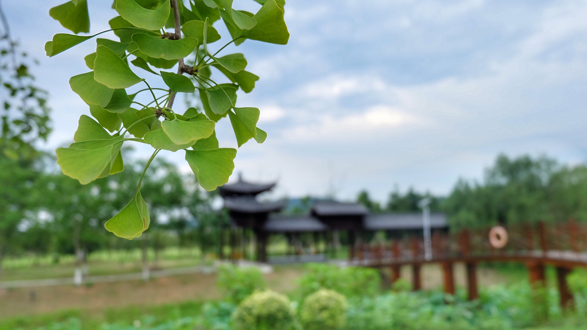 高淳最美的小镇,高淳得半庄园地址