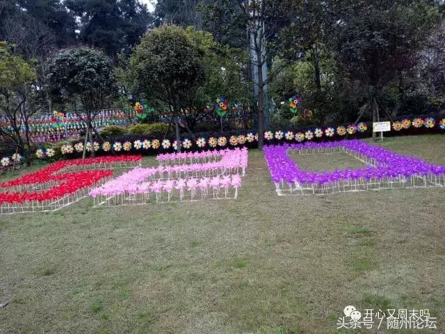 七夕约起！神农国际大酒店首届“七彩风车花海节+梦幻冰雪泡泡秀