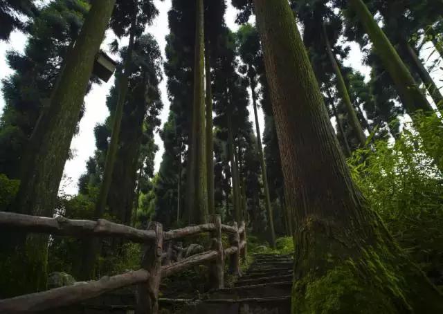 四川有没有凉快的地方,四川很凉快吗