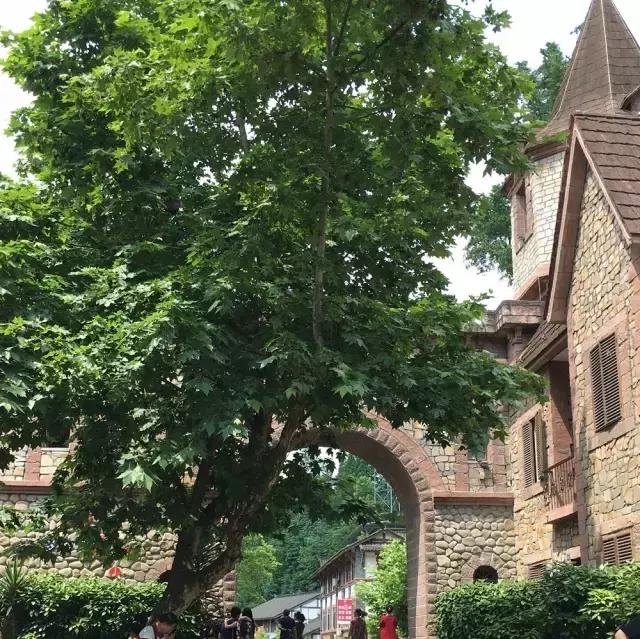 四川有没有凉快的地方,四川很凉快吗