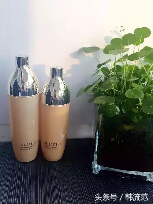 兰芝好用还是伊思蜗牛水乳好用,兰芝伊思水乳