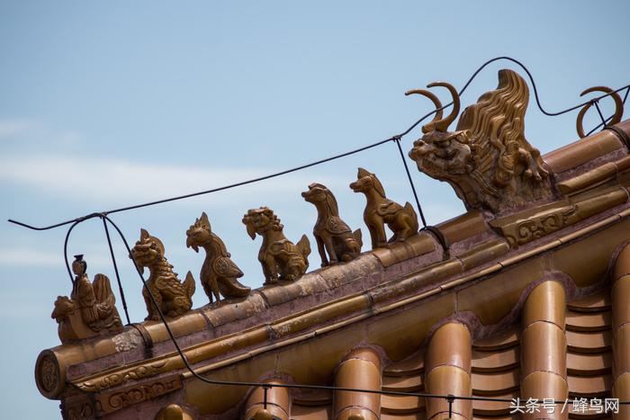 腾龙2.8恒定变焦镜头,腾龙24-70mm3.5手动镜头